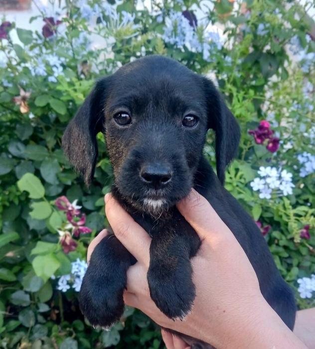 Tint&iacute;n