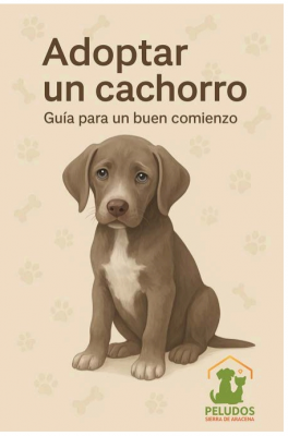  Descarga nuestra Gua del Cachorro!